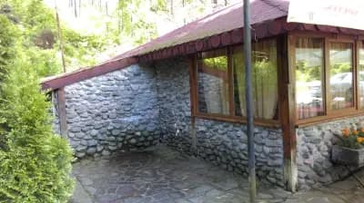 Бира Скара "Малка Бързия"