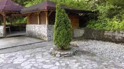Бира Скара "Малка Бързия"