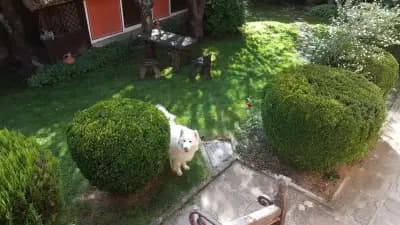 Енчева къща