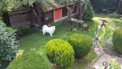 Енчева къща