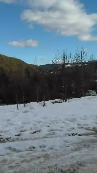 Додовата къща