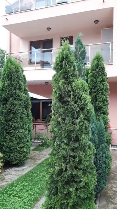 Хотел Цветелина Палас