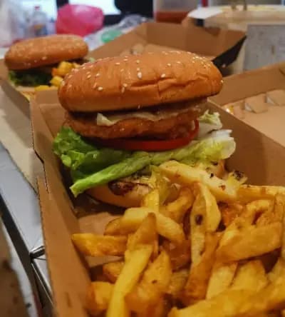 Harmony-Duner & Burger /Немско качество по оригинална турска рецепта/