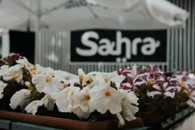 Sahra by Zahir Hookah lounge