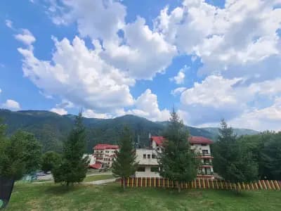 Park Hotel Ribaritsa