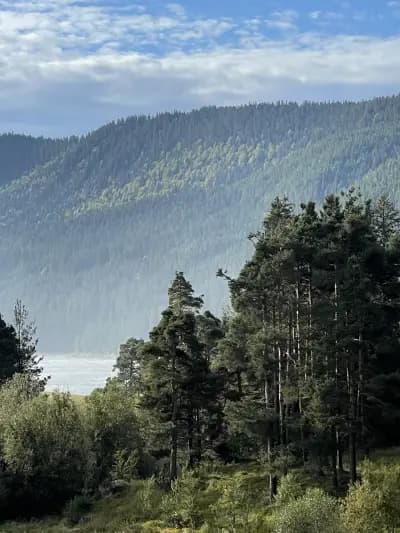 Family Hotel Panorama