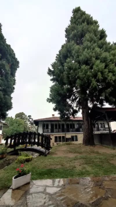 Aura house