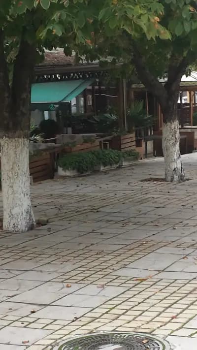 Вива кафене, бар и вечеря