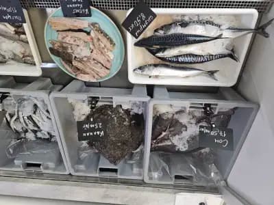 Fish Market