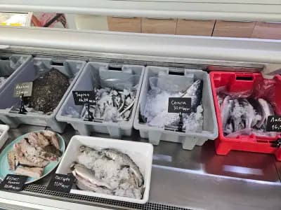 Fish Market