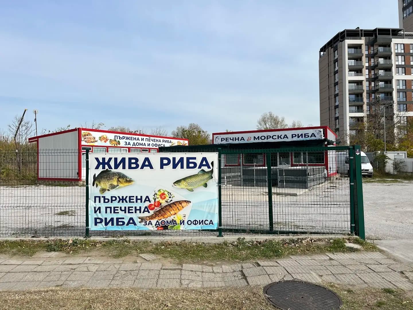 Жива риба-пържена и печена