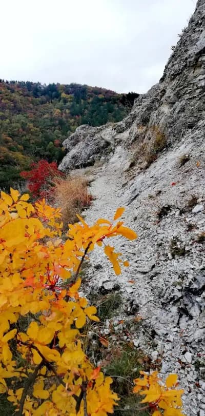 Параклис"Св.Георги"с.Устина