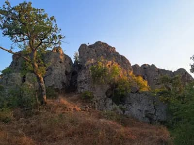 Дивото зове в Маджарово