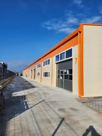 MTRONIQ LTD