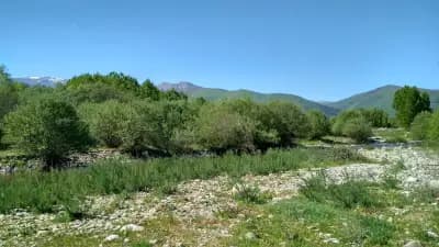 „Кастамону – България“ (ГАБРОВНИЦА)