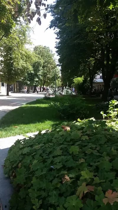 Търговски дом