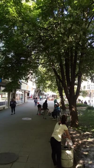 Търговски дом
