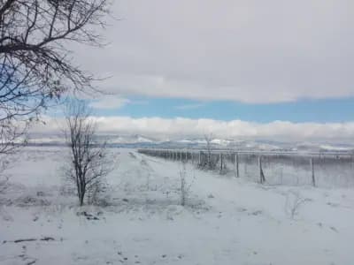ALC Bulgaria