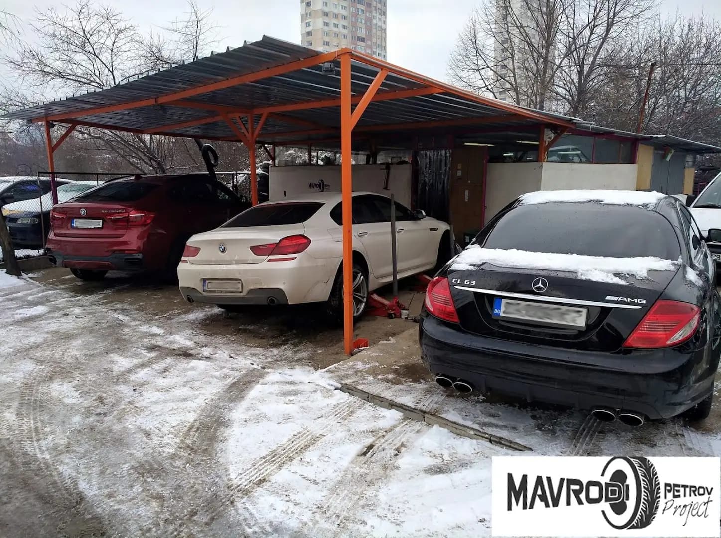 Mavrodi Petrov Project