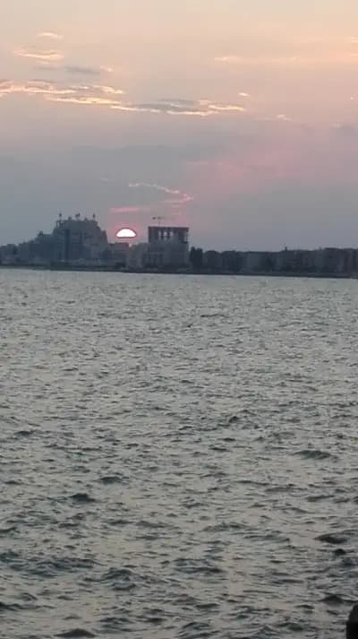 Велкони ЕООД