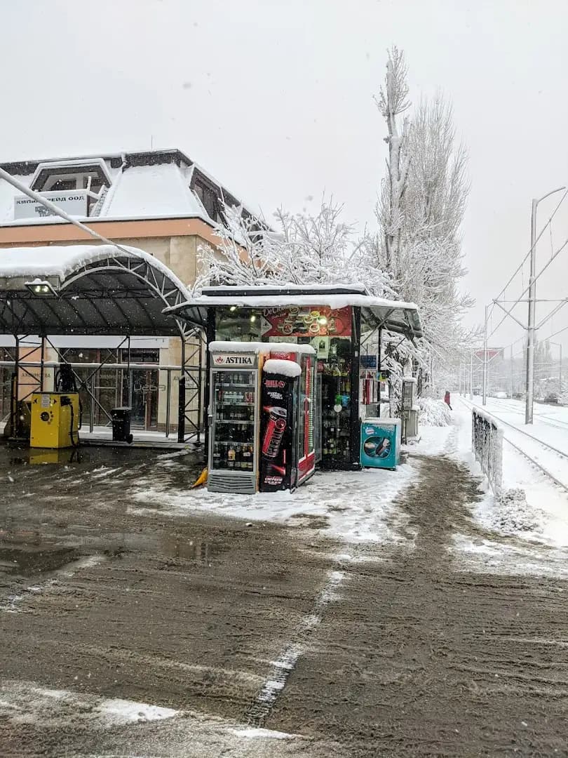 Марсел тойс