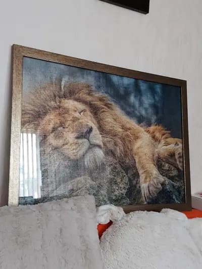 Екип ООД - ProArt