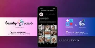 Груминг Beauty Paws - Vili Стара Загора