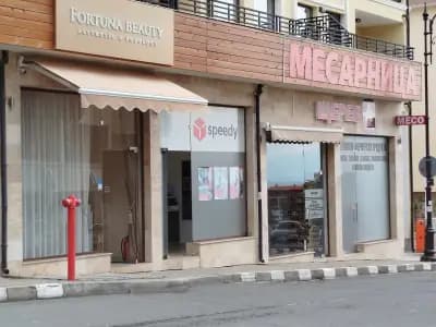 СПИДИ СВЕТИ ВЛАС