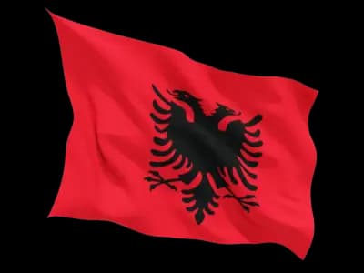Агенция Рутина