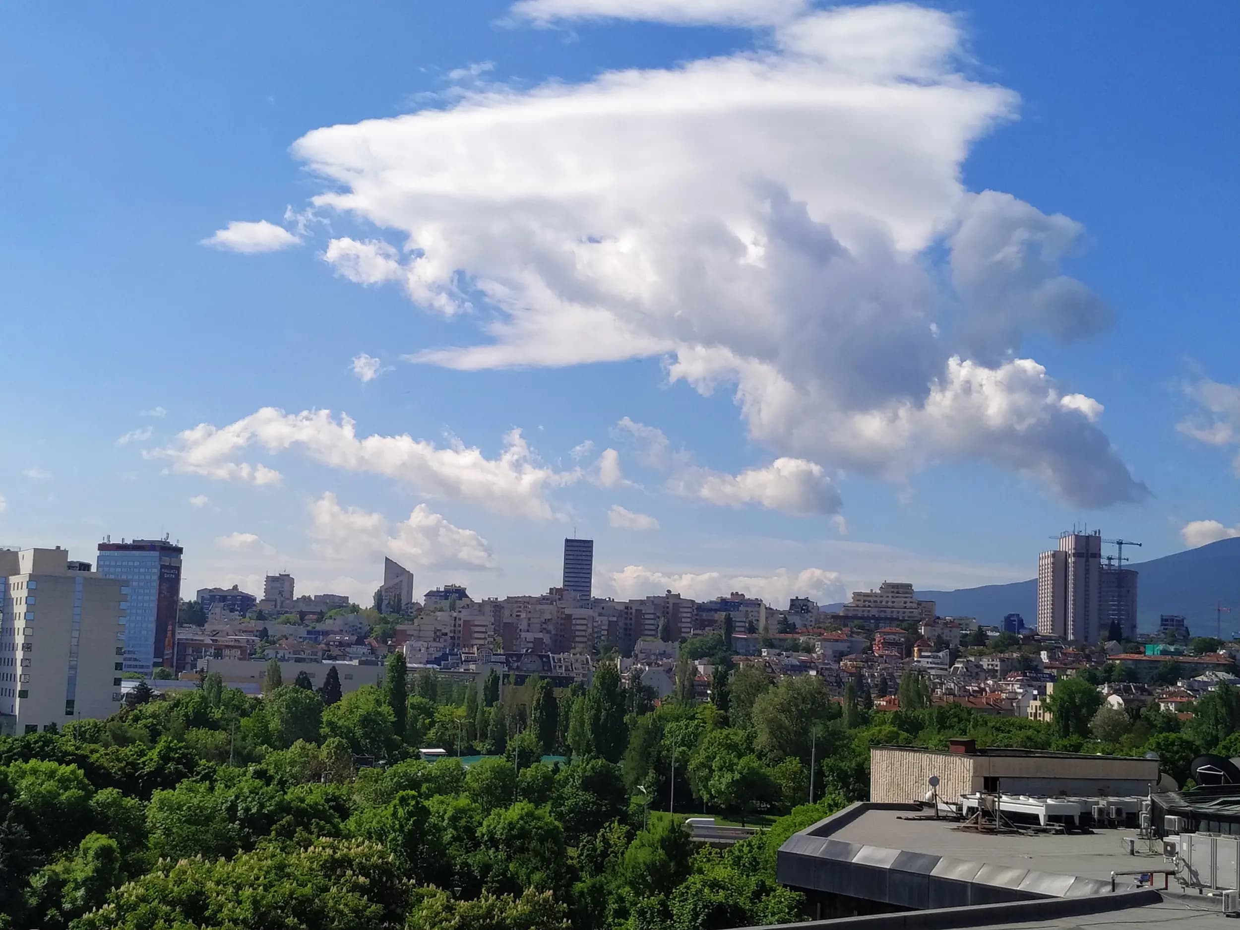 Бийтруут България