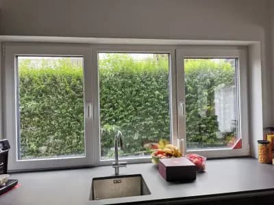 Уиндор Дизайн Младост