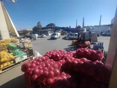 Зеленчукова борса Дружба