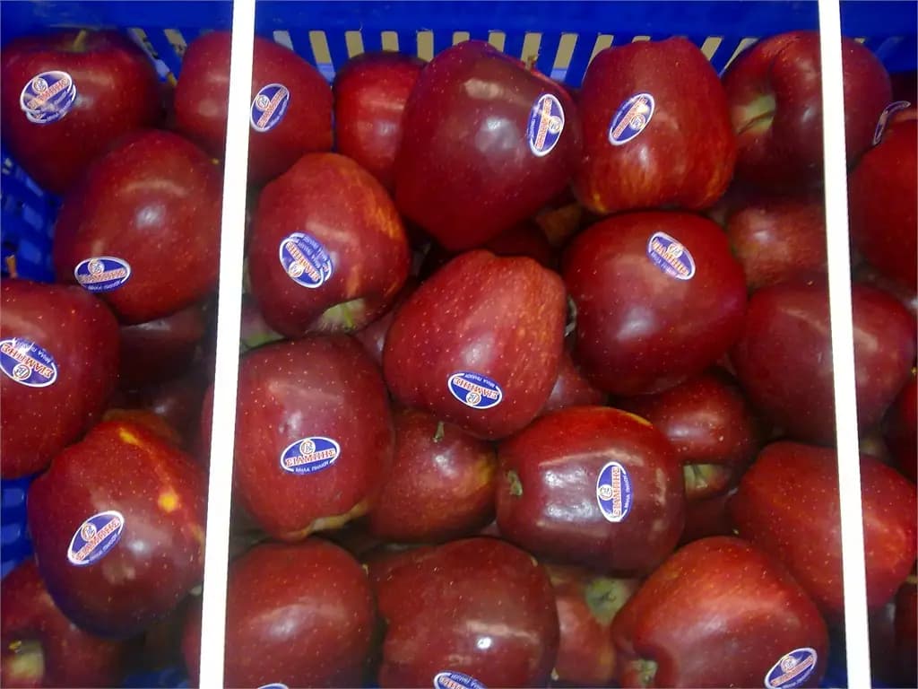 Starfruit - доставка на плодове и зеленчуци