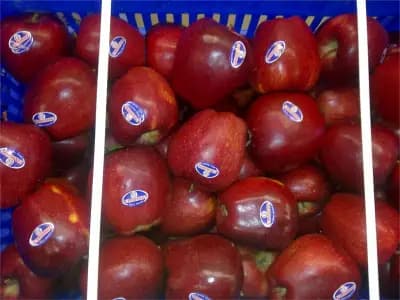 Starfruit - доставка на плодове и зеленчуци