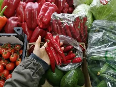 Магазин за плодове и зеленчуци - Венци