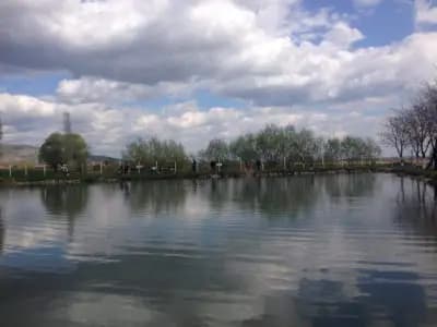 Спортен Риболов Леон