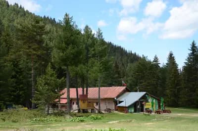 Chaina Malyovitza