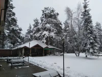 хотел „Дивите петли“