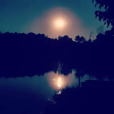 Рибарник Тодоров