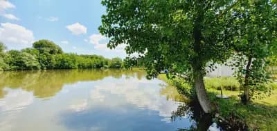 Рибарник Тодоров