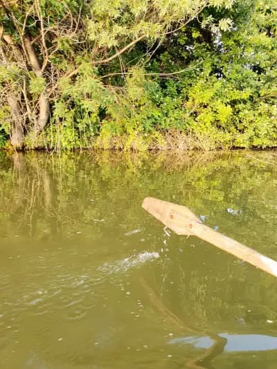 Рибарник Тодоров