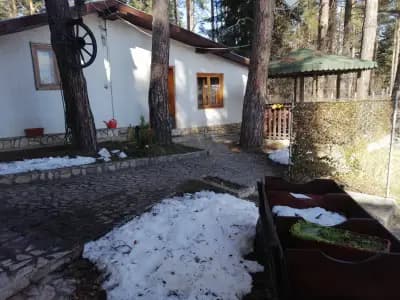 Вили Грийн