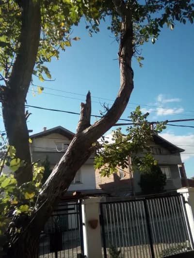 Country house on Stara Planina 26