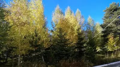 ХОТЕЛ ШАТЕВ