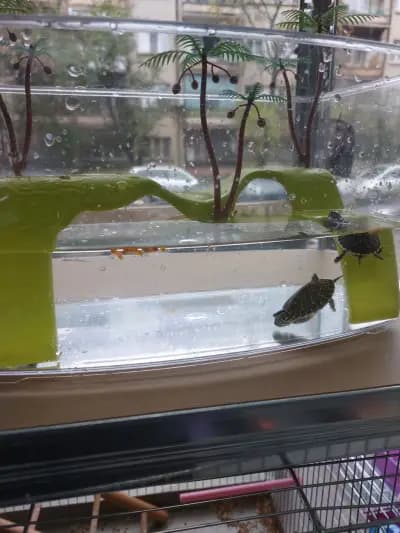 Зоо Любимци