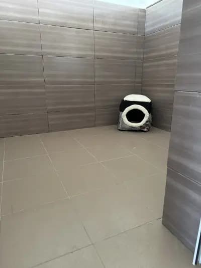 Хотел за Кучета и Котки Вики