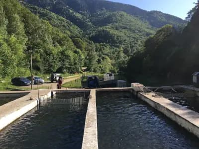 РС Бричeбор Рилска пъстърва