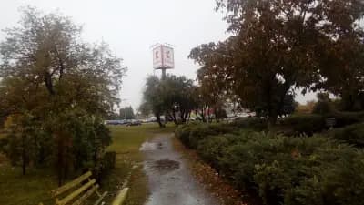 Фантаcтико Ф17