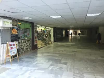 Фреш енд гоу