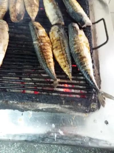 Premium Kebap